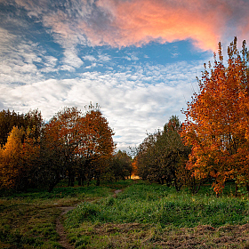 Осенняя пора | Фотограф Сергей Шабуневич | foto.by фото.бай