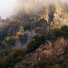 Осень и туман в горах | Фотограф Александр Плеханов | foto.by фото.бай