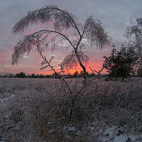 Зимний вечер | Фотограф Артур Язубец | foto.by фото.бай