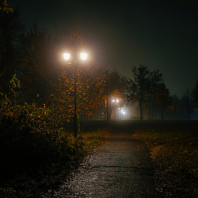 Ночной связной | Фотограф Владимир Ковалёв | foto.by фото.бай