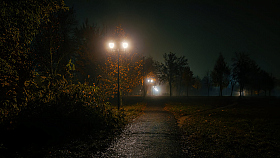 Ночной связной | foto.by фото.бай