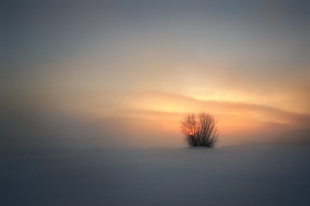 Как "ёжик" встречал рассвет | Фотограф Сергей Шляга | foto.by фото.бай