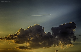 полет на закате | Фотограф Алексей Жариков | foto.by фото.бай