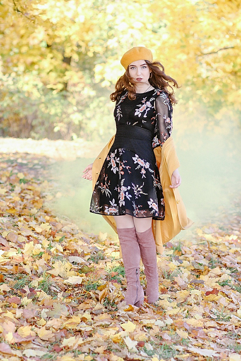 Фотограф Дмитрий Гусалов, фотография добавлена 11.10.2019