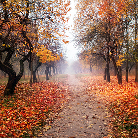 Про осень | foto.by фото.бай