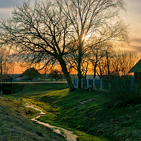 фотограф Владимир Ковалёв. Фотография "В тени у ручья"