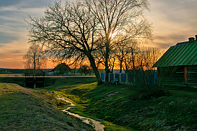 В тени у ручья | foto.by фото.бай
