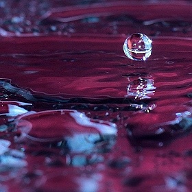 Альбом "Вода" | Фотограф Катерина Шкрабо | foto.by фото.бай