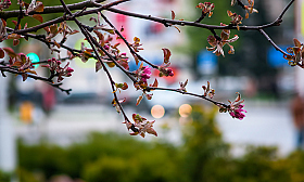 И все таки весна | Фотограф Александр Шатохин | foto.by фото.бай