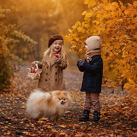Веселая осень | Фотограф Анна Балабан | foto.by фото.бай
