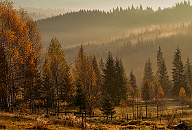 Осеннее настроение... | Фотограф Михаил Глаголев | foto.by фото.бай