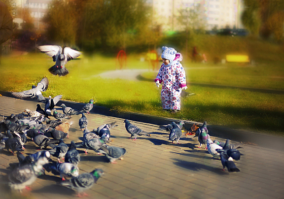 Фотограф Анна Гри, фотография добавлена 21.10.2016