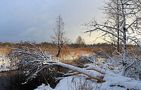 Зимний этюд 1 | Фотограф Андрей Марцинкевич | foto.by фото.бай
