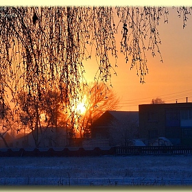 фотограф Дмитрий Хотенко. Фотография "Зимнее утро"