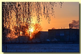 Зимнее утро | Фотограф Дмитрий Хотенко | foto.by фото.бай