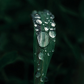 На модерацию | Фотограф Сергей Клеменок | foto.by фото.бай