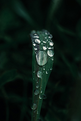 На модерацию | Фотограф Сергей Клеменок | foto.by фото.бай