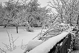 Мартовские снега | Фотограф Ольга Бородина | foto.by фото.бай