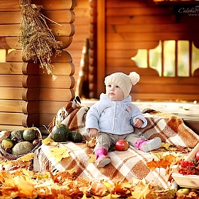 Золотая осень | Фотограф Юлия Сакович | foto.by фото.бай