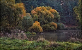 Река и осень | Фотограф Сергей Шабуневич | foto.by фото.бай