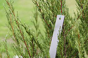 Работа фотографа Сергей Тарасов