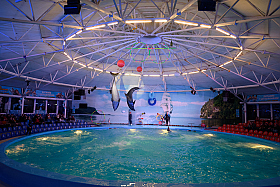 Работа фотографа Сергей Тарасов