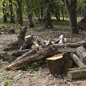 *** | Фотограф Andrei Savitsky | foto.by фото.бай