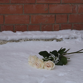 фотограф Алеся Пушнякова. Фотография "Белые розы, беззащитны шипы..."