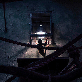 Тепло ламп в холодной клетке | Фотограф Ирина Королева | foto.by фото.бай