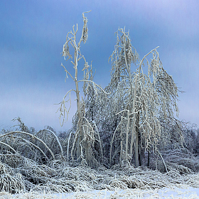 фотограф Виталий Дорош. Фотография "Зимний апокалипсис"