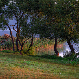 Утро на берегу озера | Фотограф Сергей Шабуневич | foto.by фото.бай