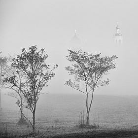 Там за туманами.... | Фотограф Ольга Максимова | foto.by фото.бай