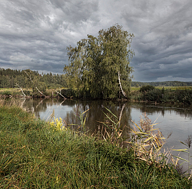 Березы у реки | Фотограф Сергей Шабуневич | foto.by фото.бай