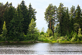 Озеро Боровское | Фотограф Elena VOLOTOVSKAYA | foto.by фото.бай