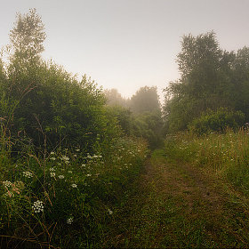 Утро туманное | Фотограф Олег Фролов | foto.by фото.бай