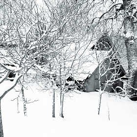 фотограф василий раковец. Фотография "снег в деревне"