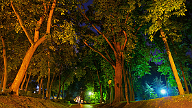 Ночь. Парк. | Фотограф Александр Чиж | foto.by фото.бай