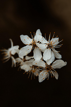Работа фотографа Мария Войтик