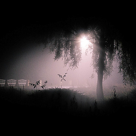 фотограф Лилия Гринь. Фотография "Туман"