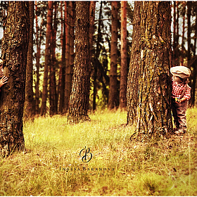 фотограф Инесса Баранова. Фотография "На лесной полянке"