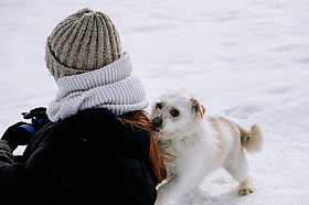 Работа фотографа Дмитрий Гусалов