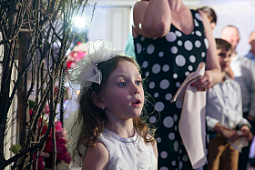 Работа фотографа Сергей Тарасов