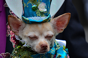 *** | Фотограф Andrei Savitsky | foto.by фото.бай