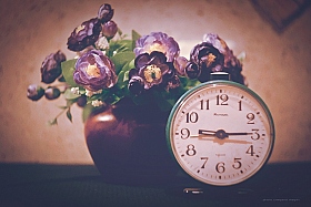 остановить время | Фотограф Снежана Магрин | foto.by фото.бай