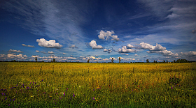 Про облака 2 | Фотограф Сергей Шабуневич | foto.by фото.бай