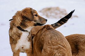 Работа фотографа Дмитрий Гусалов