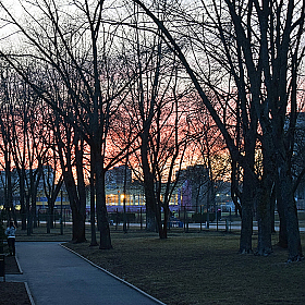 фотограф Александр Хазанов. Фотография "Весна. Закат в городе."