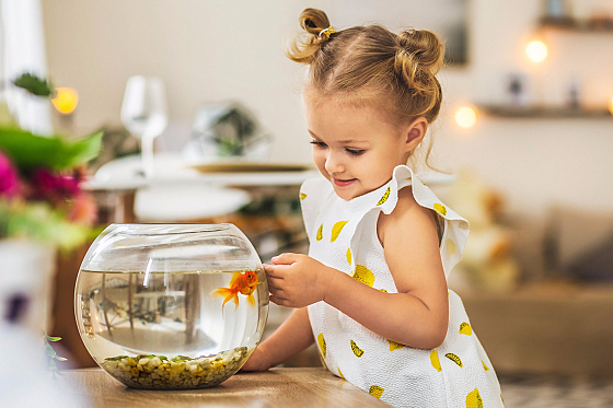 Оля Шестак - фотограф в городе Минск, фотография добавлена 21.10.2017