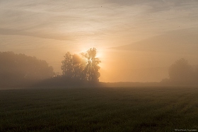 утро в тумане | Фотограф Анатолий Адуцкевич | foto.by фото.бай