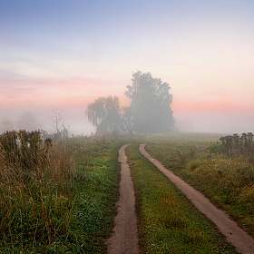 Дорога в туман | Фотограф Сергей Шабуневич | foto.by фото.бай